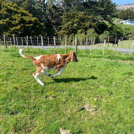 Pukeatua Farmstay Waimauku エクステリア 写真