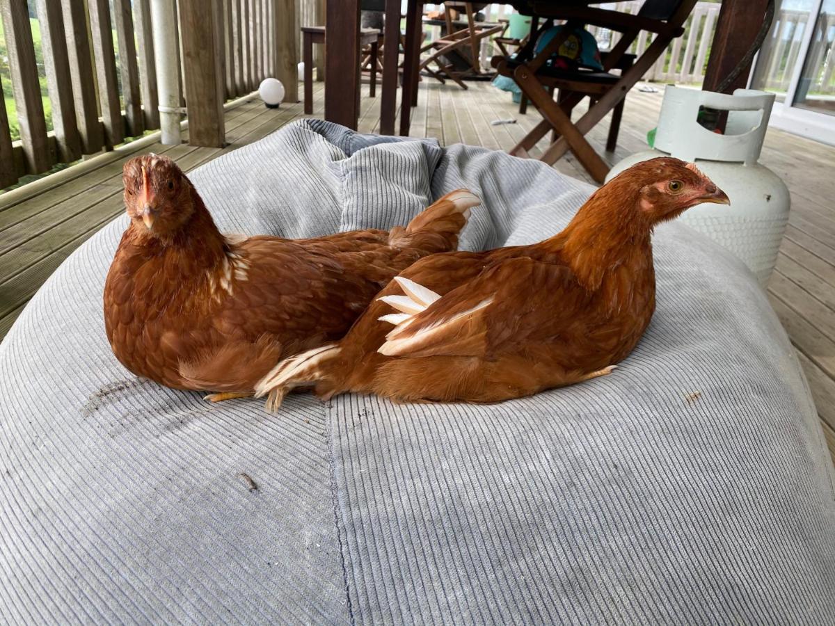 Pukeatua Farmstay Waimauku エクステリア 写真