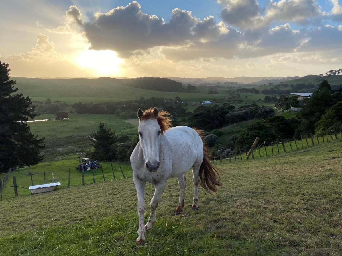 Pukeatua Farmstay Waimauku エクステリア 写真