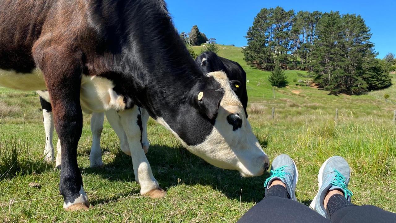 Pukeatua Farmstay Waimauku エクステリア 写真