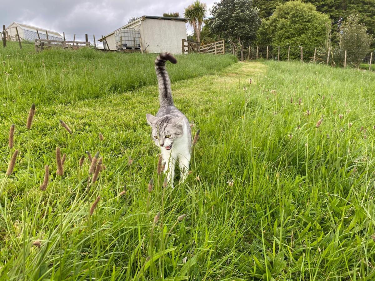 Pukeatua Farmstay Waimauku エクステリア 写真