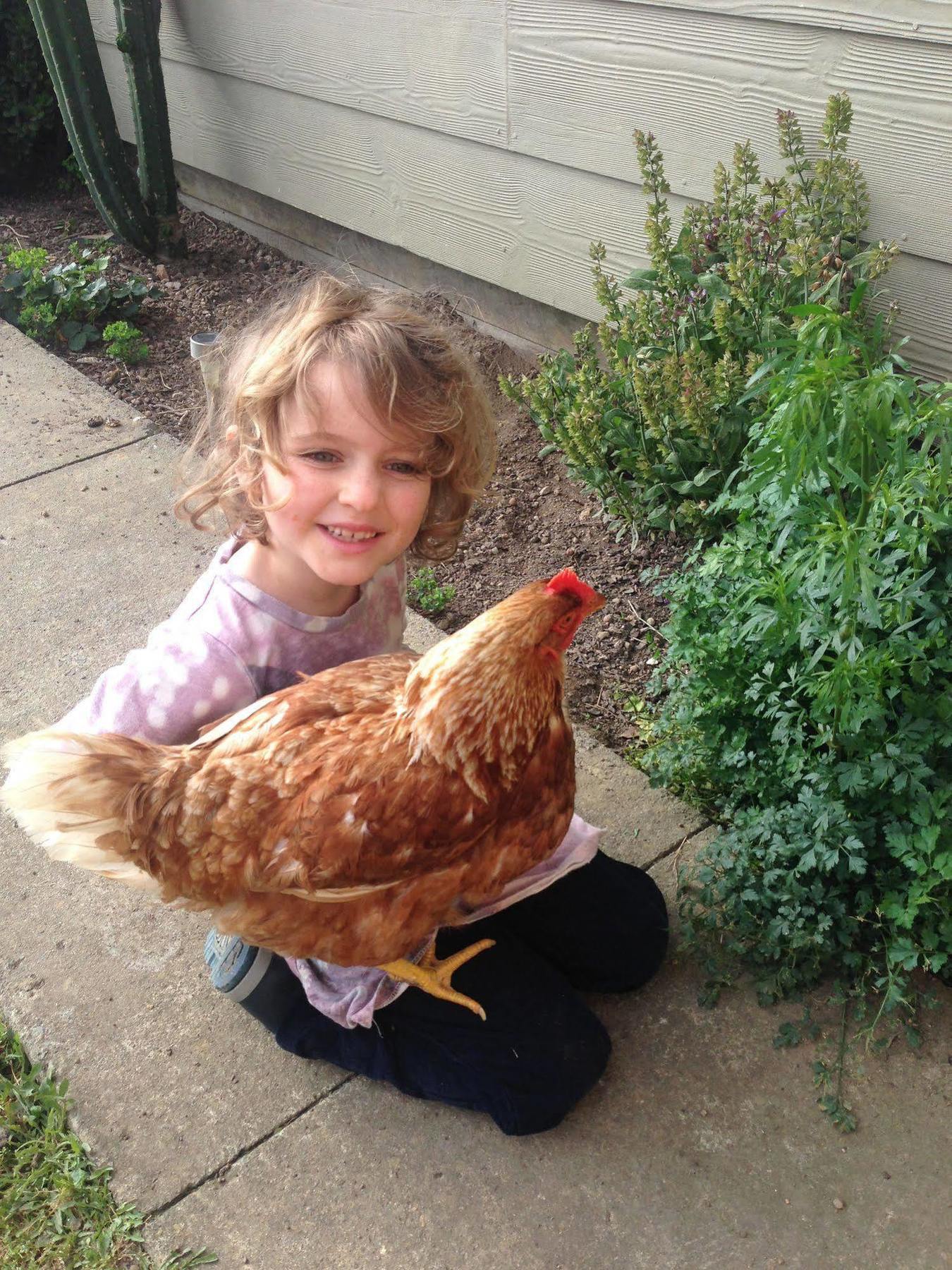 Pukeatua Farmstay Waimauku エクステリア 写真