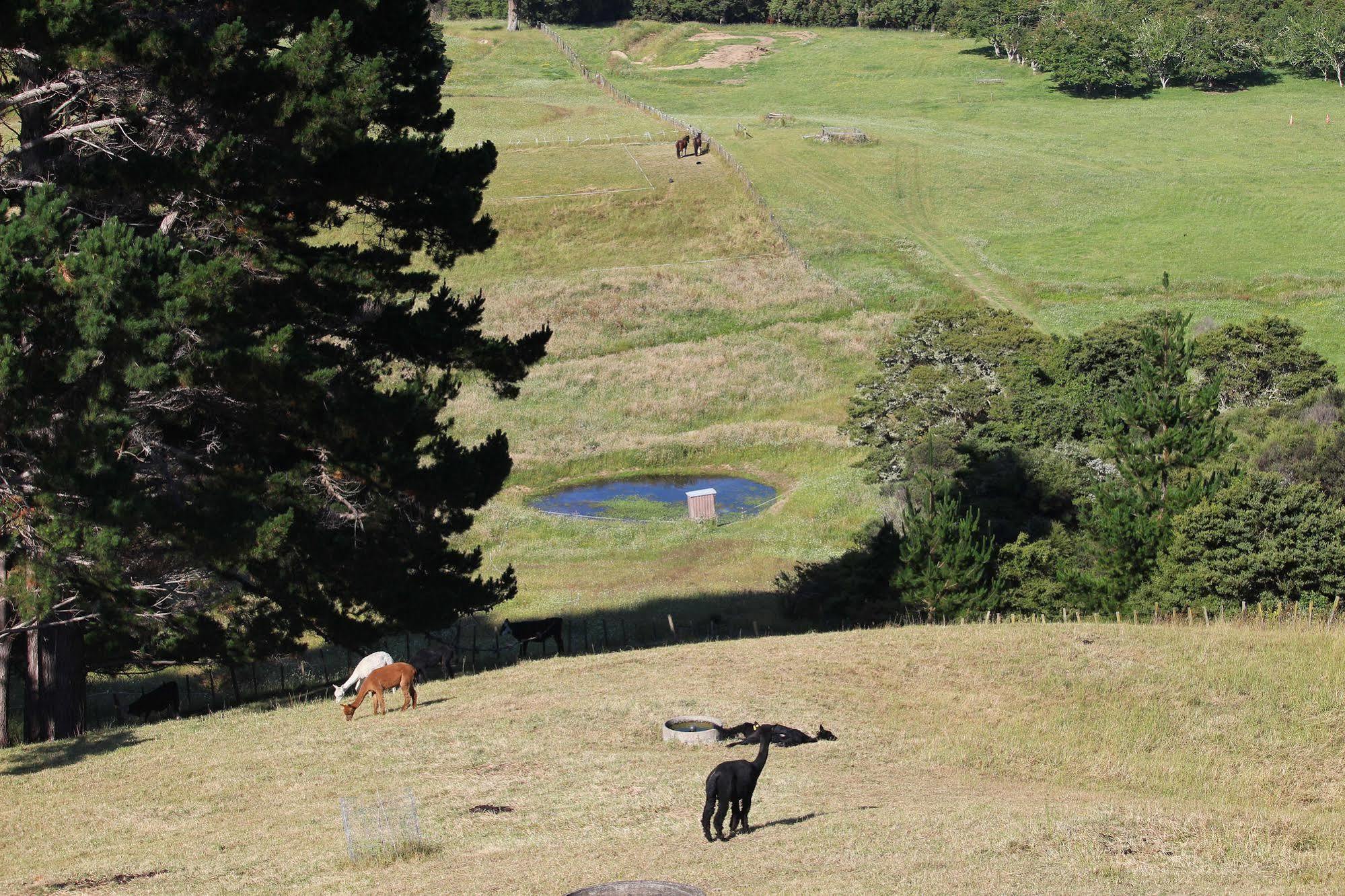 Pukeatua Farmstay Waimauku エクステリア 写真