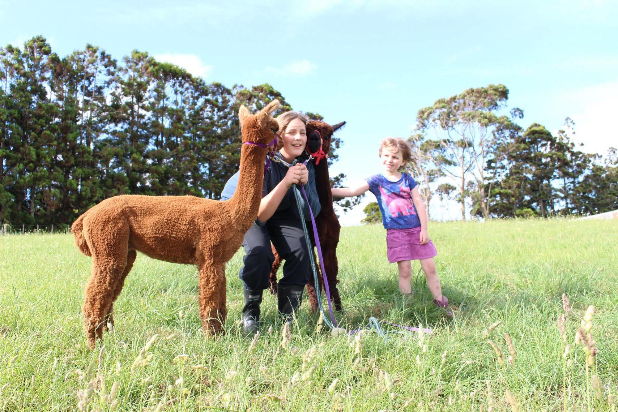 Pukeatua Farmstay Waimauku エクステリア 写真